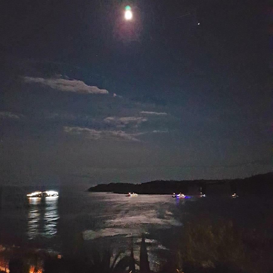 Villa Palmera Dubrovnik Exteriör bild