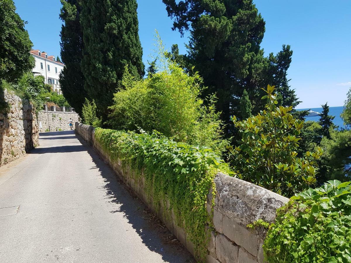 Villa Palmera Dubrovnik Exteriör bild
