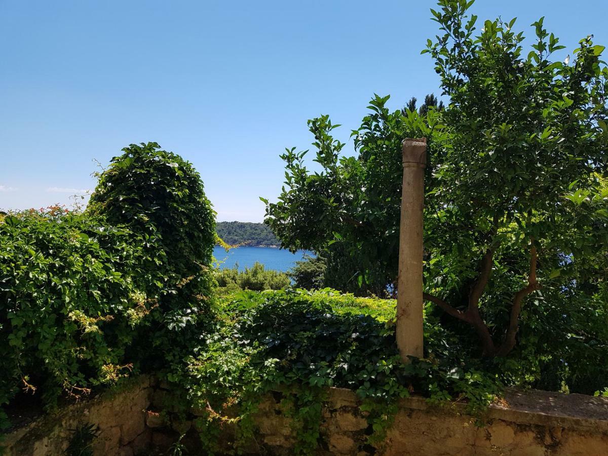 Villa Palmera Dubrovnik Exteriör bild